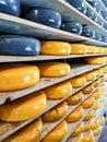 Dutch cheese maturing