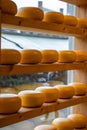 Dutch cheese in a shop window in Amsterdam Royalty Free Stock Photo