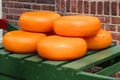 Dutch cheese wheels in Amsterdam Royalty Free Stock Photo