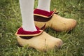 Dutch clogs