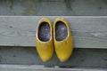 Dutch clogs