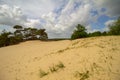 Dutch clouds in the sky and sand dunes with trees Royalty Free Stock Photo