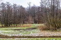 Dutch countryside with green grass with traces of snow, bare trees and a stream