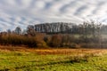 Dutch countryside with green grass, wild plants and bare trees, on a slightly sunny December day. Long exposure photography