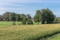 Dutch countryside in region Twente with corn field and farmhouse Royalty Free Stock Photo