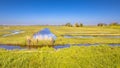 Dutch Countryside scene with green grass Royalty Free Stock Photo