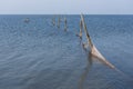 Dutch along the sea with wind turbines Royalty Free Stock Photo