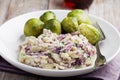 Dutch dish Stamppot with red cabbage and Brussels sprout Royalty Free Stock Photo