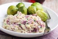 Dutch dish Stamppot with red cabbage and Brussels sprout Royalty Free Stock Photo