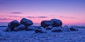 Dutch Dolmen in snow Royalty Free Stock Photo