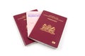 Dutch Drivers licence and passport Royalty Free Stock Photo