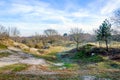 Dutch dune area on a sunny day in wintertime Royalty Free Stock Photo