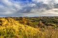 Dutch dune landscape in autumn colors against sky with dark clouds Royalty Free Stock Photo