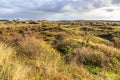 Dutch dune landscape in autumn colors against sky with dark clouds Royalty Free Stock Photo