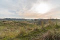 Dutch dunes landscape near the North Sea coast Royalty Free Stock Photo