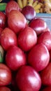 Dutch eggplant or Tamarillo is a small tree or shrub in the flowering plant family Solanaceae