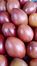 Dutch eggplant or Tamarillo is a small tree or shrub in the flowering plant family Solanaceae