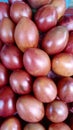 Dutch eggplant or Tamarillo is a small tree or shrub in the flowering plant family Solanaceae