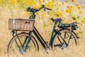 Dutch electric black cargo bicycle with basket