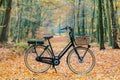 Dutch electric black cargo bicycle with basket