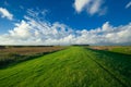 Dutch farmland landscape