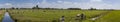 Dutch farmland panorama