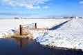 Dutch farmland in winter