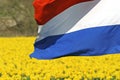 Dutch flag Royalty Free Stock Photo