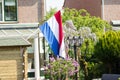 Dutch flag a garden Royalty Free Stock Photo