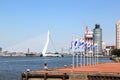 Dutch flags along Nieuwe Maas River, Rotterdam, Holland