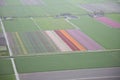 Dutch flower field from above Royalty Free Stock Photo