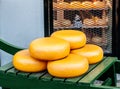 Dutch Gouda cheese