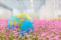 Dutch greenhouse with blooming flower plants