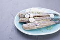 Dutch herring. Traditional Dutch food,