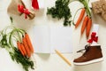 Dutch Holiday Sinterklaas background. Children`s shoes, carrots Royalty Free Stock Photo