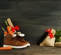 Dutch Holiday Sinterklaas background. Children`s shoes, carrots Royalty Free Stock Photo