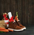 Dutch Holiday Sinterklaas background. Children`s shoes, carrots Royalty Free Stock Photo