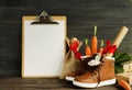 Dutch Holiday Sinterklaas background. Children`s shoes, carrots Royalty Free Stock Photo