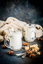 Dutch hot dairy drink Anijsmelk Royalty Free Stock Photo