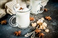 Dutch hot dairy drink Anijsmelk Royalty Free Stock Photo