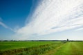 Dutch landscape Royalty Free Stock Photo