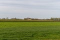 Dutch landscape with castle, apple fruit trees orchards and green grass, spring in Netherlands Royalty Free Stock Photo
