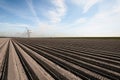 Potato ridges and wind turbines in springtime Royalty Free Stock Photo