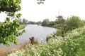 Dutch landscape with windmill & Linge river, Betuwe, Netherlands Royalty Free Stock Photo