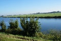 Dutch landscape with a cows grazing in the fields near the river Royalty Free Stock Photo