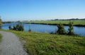 Dutch landscape with a cows grazing in the fields near the river Royalty Free Stock Photo