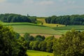 Dutch landscape with green meadows and trees and a blue sky with some clouds Royalty Free Stock Photo