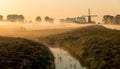 Dutch landscape in morning mist Royalty Free Stock Photo