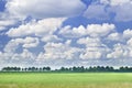 Dutch landscape with a row of trees, blue sky, dramatic shaped clouds. Royalty Free Stock Photo