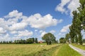 Dutch landscape with sheep near the village of Wetsinge Royalty Free Stock Photo